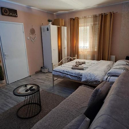 Apartman Iva ザイェチャル エクステリア 写真