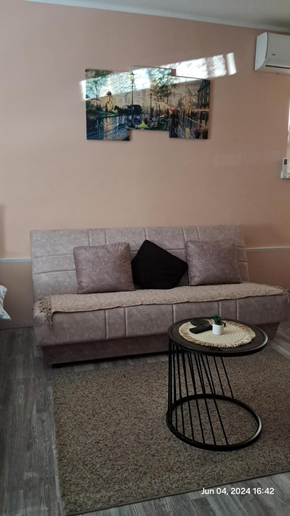 Apartman Iva ザイェチャル エクステリア 写真